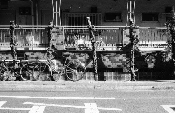 lx_fomapan_400_dev1:9