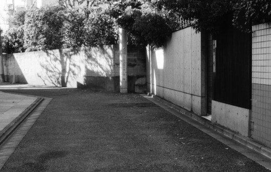 lx_fomapan_400_dev1:9