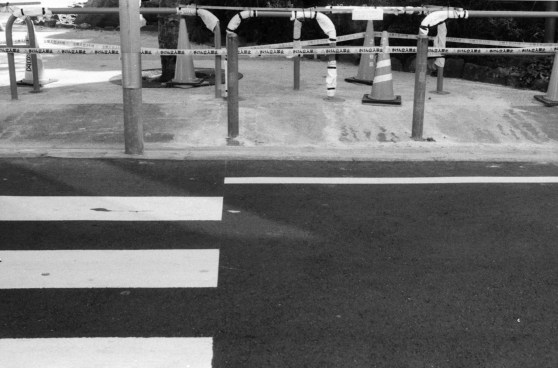 lx_fomapan_400_dev1:9