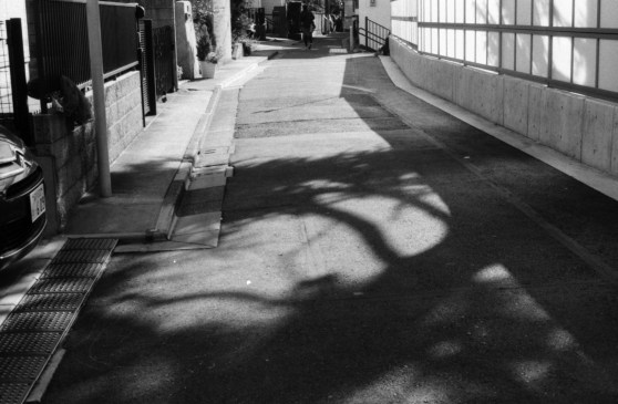 lx_fomapan_400_dev1:9