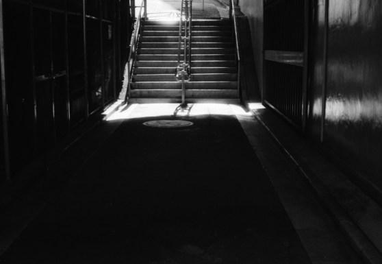 lx_fomapan_400_dev1:9