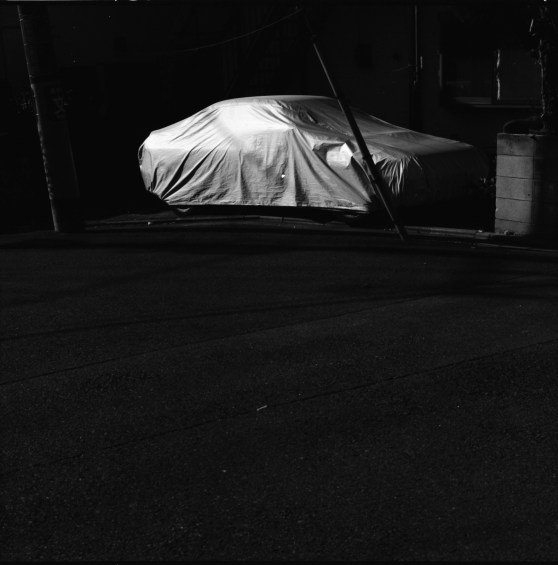 six_fomapan_100_1:4dev