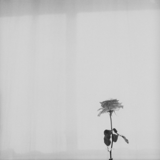 2017_sss_tachibana_1