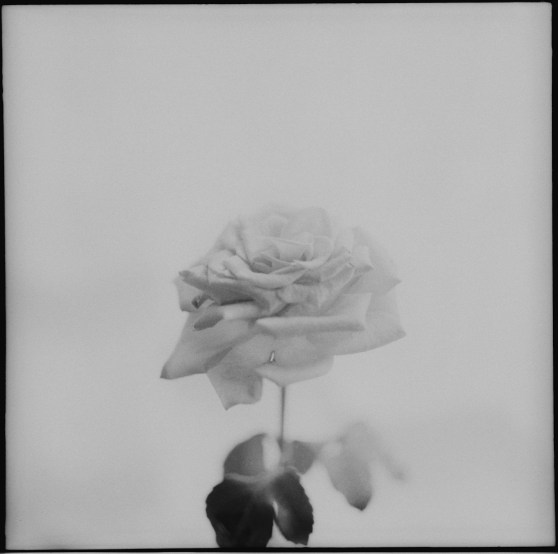 2017_sss_tachibana_2